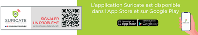 Télécharger l'application suricate